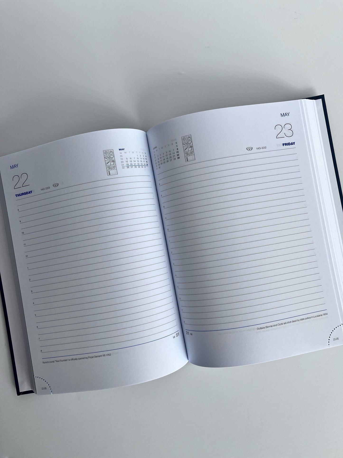 2025 RREC Desk Diary